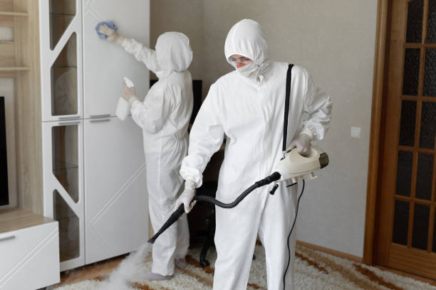 Best Mold Damage Repair  in Wyoming, MN