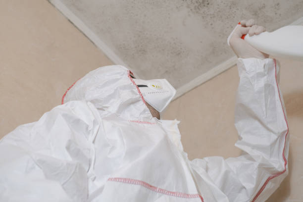 Best Certified Mold Removal  in Wyoming, MN
