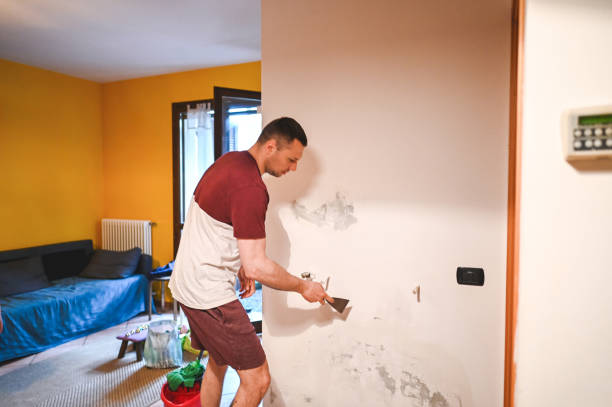 Mold Removal Process in Wyoming, MN